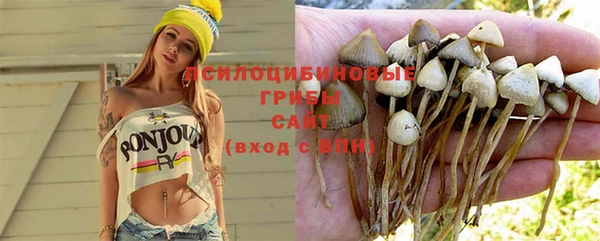 круглые Алексеевка