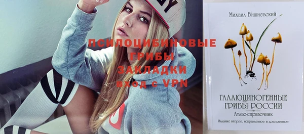 круглые Алексеевка