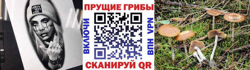 Галлюциногенные грибы GOLDEN TEACHER  Ленинск-Кузнецкий 