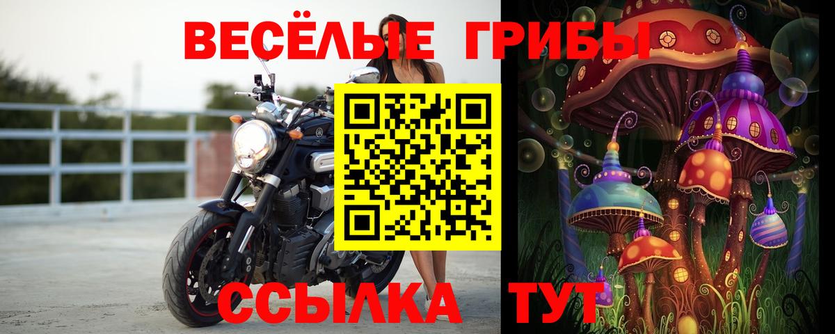 Псилоцибиновые грибы прущие грибы Ленинск-Кузнецкий