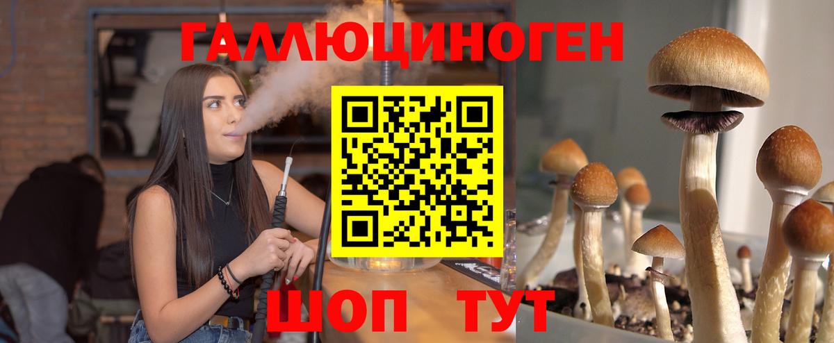 Галлюциногенные грибы MAGIC MUSHROOMS  Псилоцибиновые грибы Psilocybe  Вход с VPN  Ленинск-Кузнецкий 